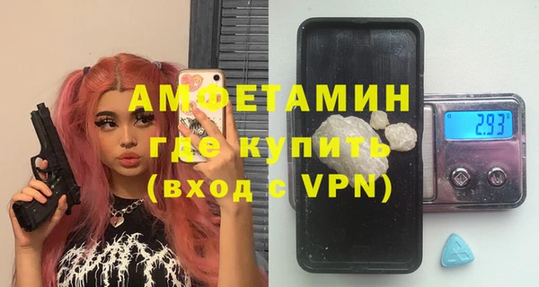 spice Болотное