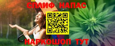 индика Краснознаменск