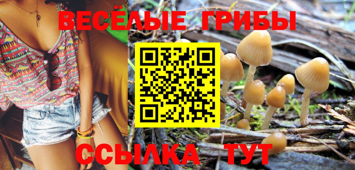 Галлюциногенные грибы Psilocybine cubensis Родники