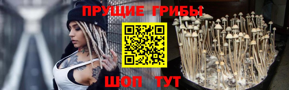 Псилоцибиновые грибы ЛСД  Галлюциногенные грибы Magic Shrooms  Родники 