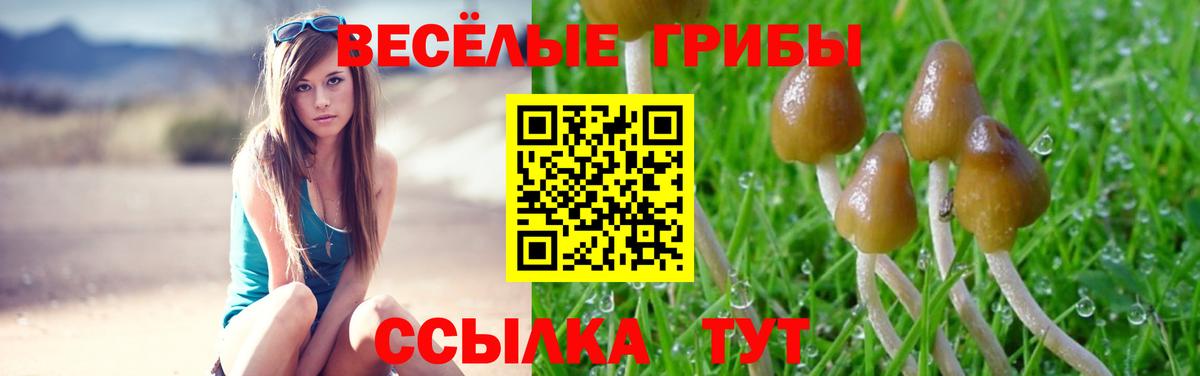 Родники  даркнет сайт  Галлюциногенные грибы Cubensis  Вход с VPN  Галлюциногенные грибы Psilocybe 