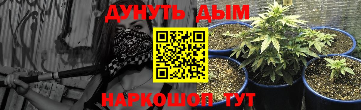 Шишки марихуана VHQ  Марихуана OG Kush  Вход с VPN  Шишки марихуана марихуана  Родники  Шишки марихуана планчик 